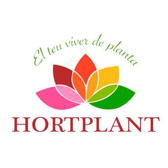 Hortplant, viver de plantes